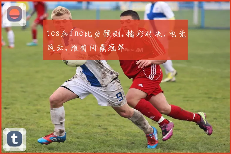 tes和fnc比分预测,精彩对决,电竞风云,谁将问鼎冠军