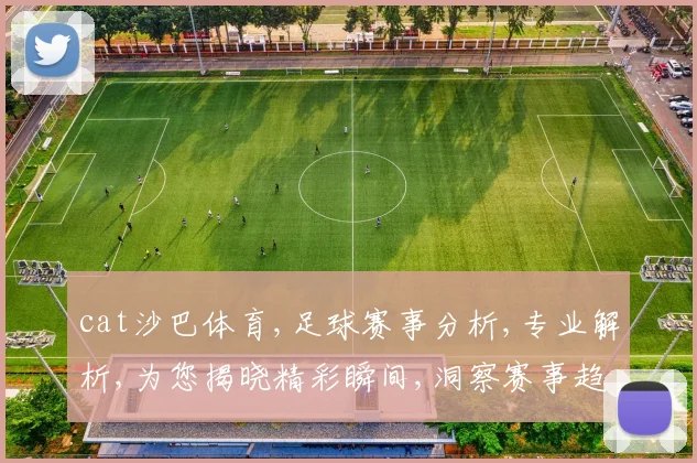 cat沙巴体育,足球赛事分析,专业解析,为您揭晓精彩瞬间,洞察赛事趋势。