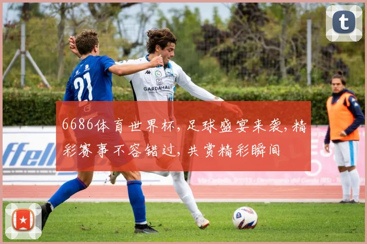 6686体育世界杯,足球盛宴来袭,精彩赛事不容错过,共赏精彩瞬间